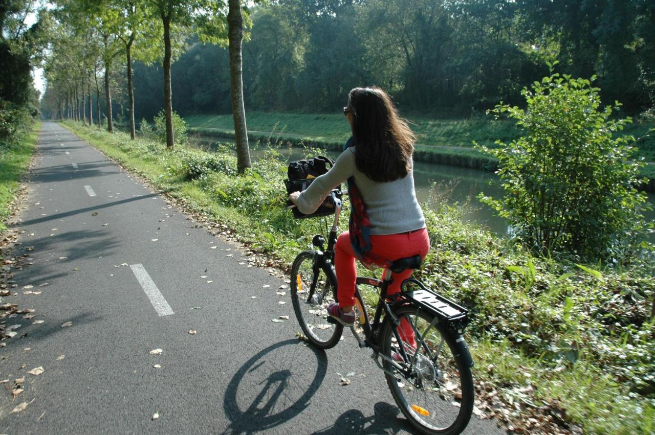 Gite Bord De Marne Paris Bry-sur-Marne Dış mekan fotoğraf